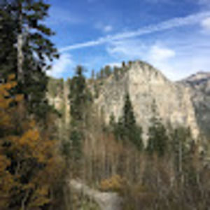 Meet your Posher, Brandy